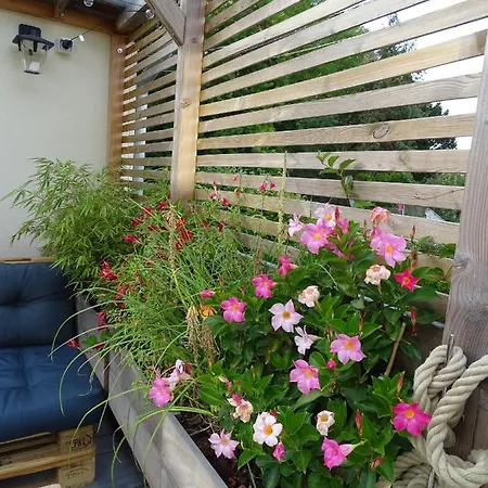 Casa Juno *